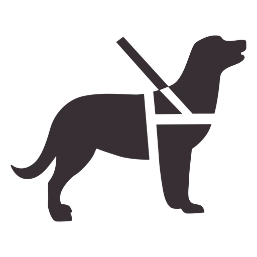 מזון לכלבים