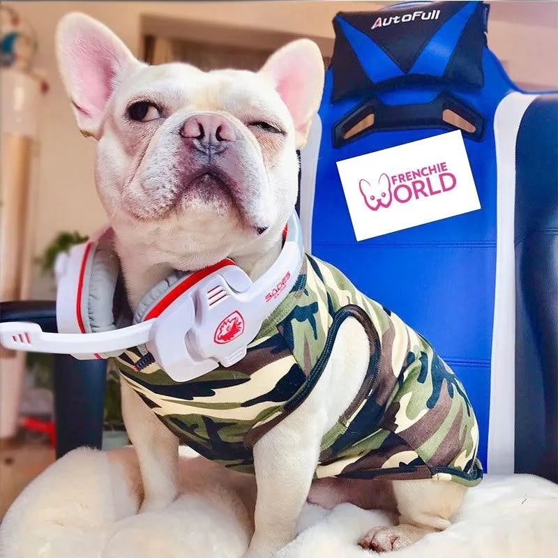 בגד כלבים במידות