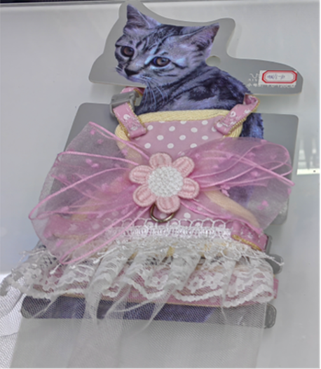 רתמה עם רצועה לחתול