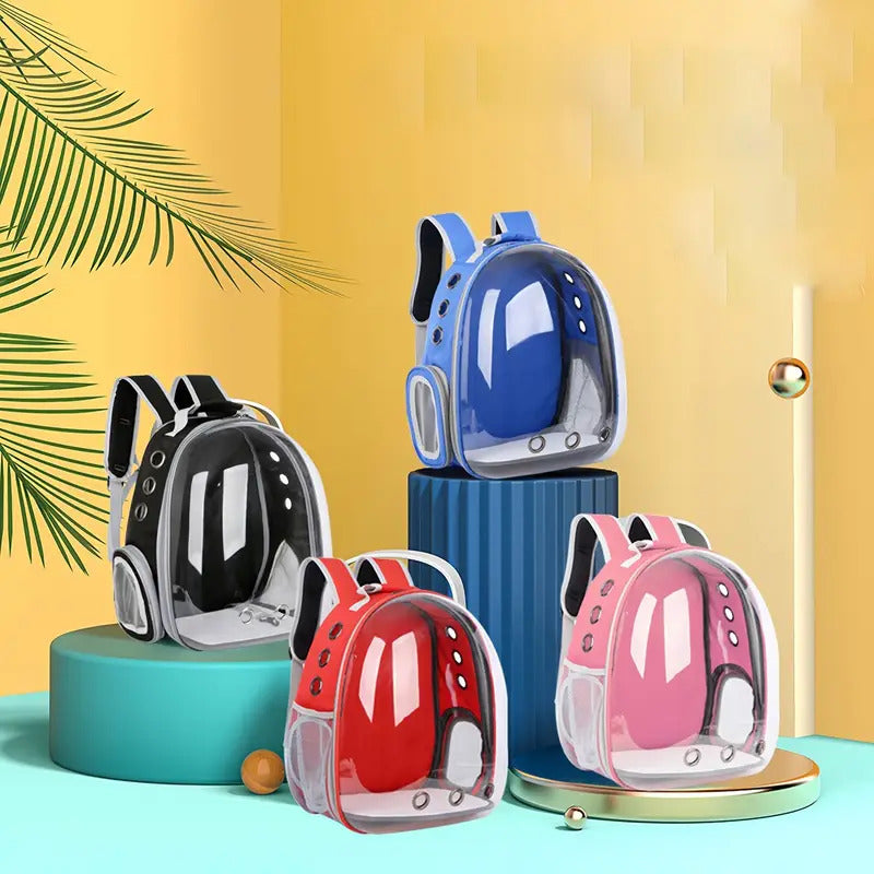 תיק שקוף לחתול בצבעים