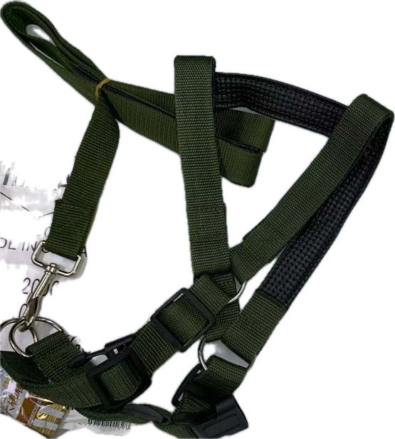 רתמה עם רצועה לכלב 4*1.2m