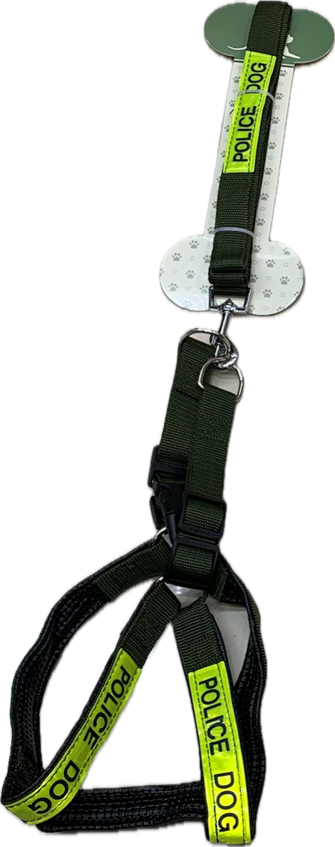 רתמה עם רצועה לכלב