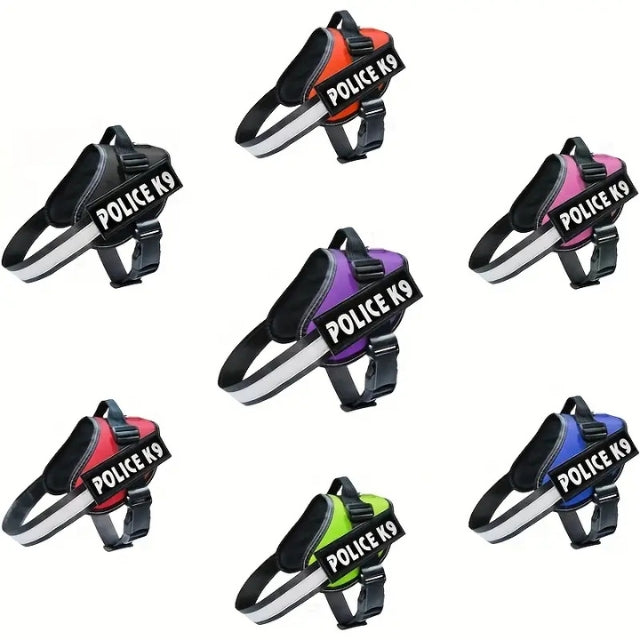 רתמה לכלבים במידות וצבעים