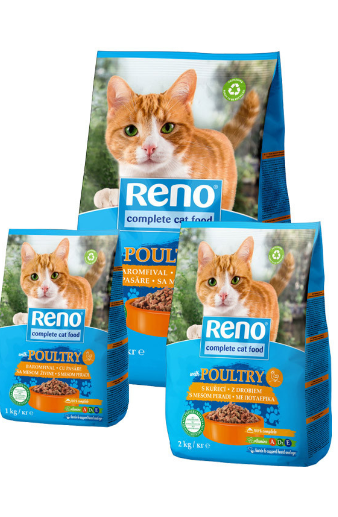 רינו מזון יבש לחתולים עם עוף | Reno