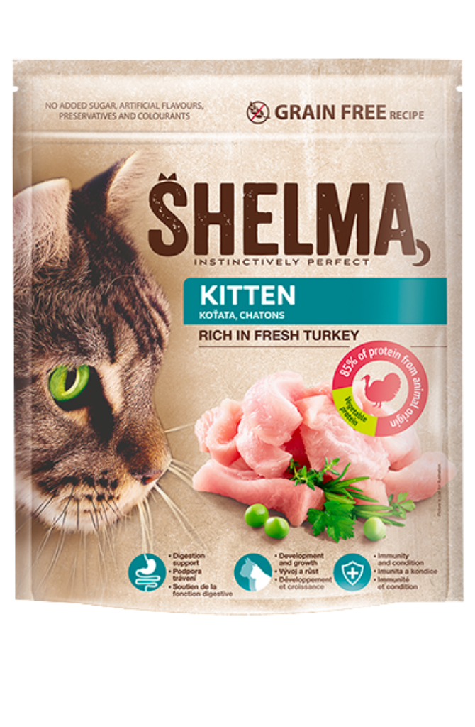 שלמה לגורי חתולים ללא דגנים עשיר בהודו טרי | Shelma